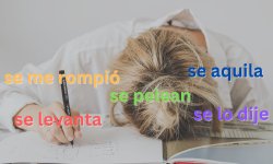 Featured image of post How to use "Se" in Spanish (Common & Uncommon Usages)
